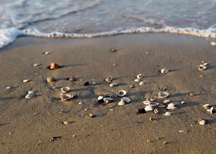 דירה Colorful Flat With Shared Pool *